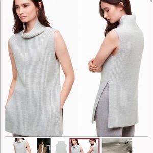 Aritizia Durandal Sweater